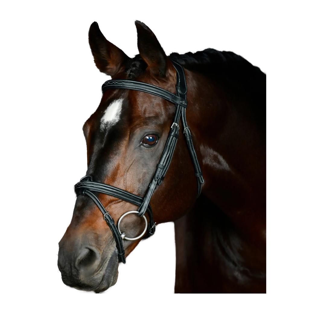 Collegiate Comfitec Opulux Padded Leather Stitch Horse Bridle
