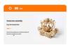 3D Wooden Pumpkin Carriage Puzzle: Handmade, High-End Children's Educational Toy and Ornament