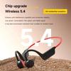 IPX8 Waterproof Bone Conduction Headphones With Microphone Sports Headset  Outdoor Activities