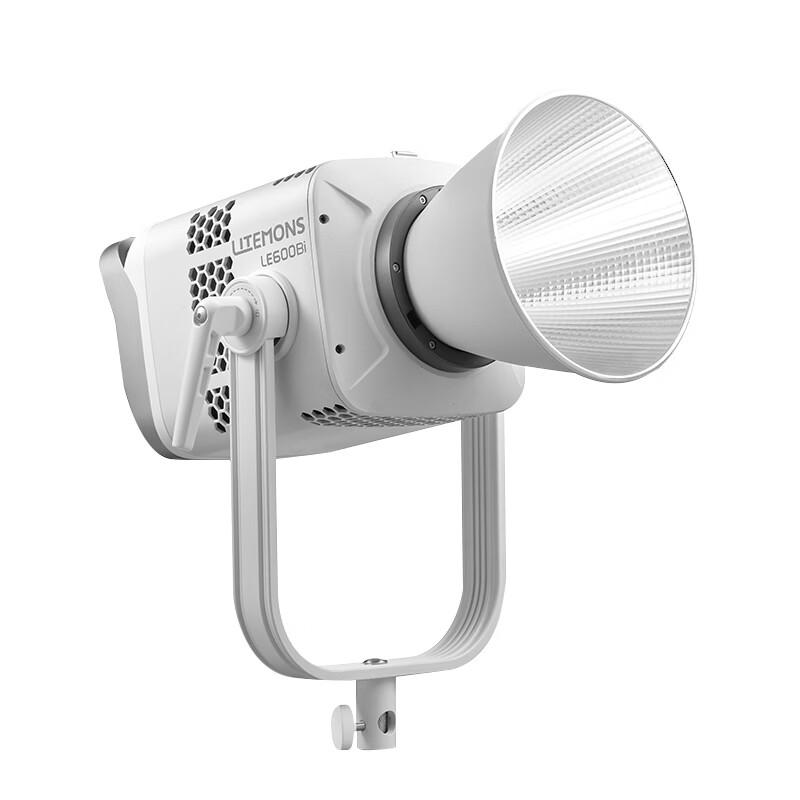 Godox LE600Bi Bi-Color LED Video Light