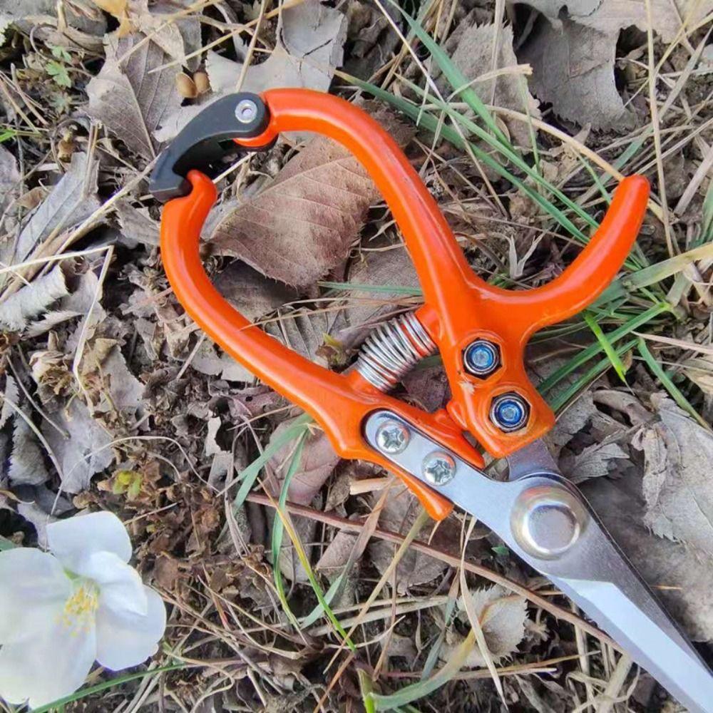 With Safety Buckle Branch Pruning Scissors Straight Plant Cutter Fruit Picking Scissors  Home