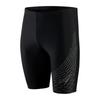 Speedo Mens Medley Logo Swim Shorts