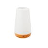 Ambient Light Remote Control Night Light Dimmable Usb Rechageable Bathroom Bedside Lamp Decorative Touch Lamp Bedroom