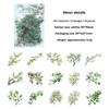 30pcs/set Waterproof PET Plant Flower Theme Stickers For DIY Crafts Scrapbook Photo Notebooks Album Decoration