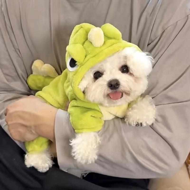Cute Cartoon Dinosaur Flannel Warm Jumpsuits Pet Clothing Small Dogs Puppy Cats Teddy Bear Clothes Costume Coat Pet Accessories