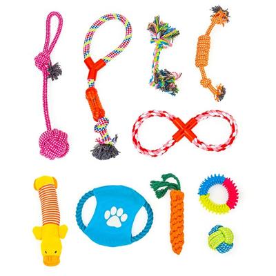 Brinquedo de corda para cachorro Need the Pet, conjunto com 10 peças, 1 conjunto, cores variadas