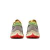 Nike Womens Pegasus Trail 2 GTX 'Smoke Grey Bucktan' (women's Sizes) Smoke Grey / Bucktan / College Grey / Black Running Shoes CU2018 002