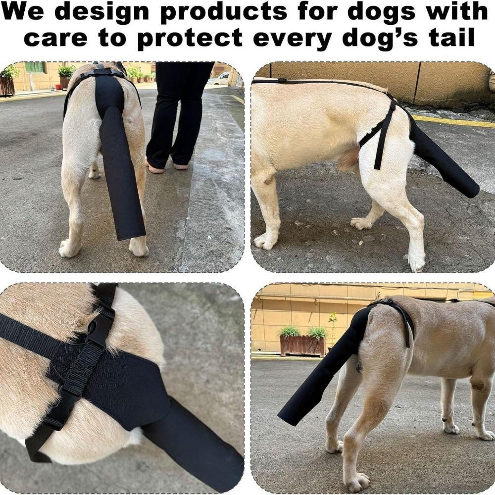 Breathable Dog Tail Protector Splash-proof Protective Case Protective Cover  Licking Prevention