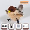 Remote Control Electric Sparrow Cat Toy - Interactive Self-Play Wings Simulator for Cats