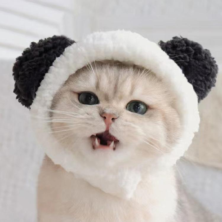 Pet Hat Cute Panda Shape Costume Party Accessories Animal-Safe Materials