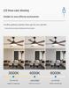Multifunctional Ceiling Fan Light: High-Power, Wide Voltage for Dorms and Homes.