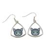 Nebelung - Elegant Metal Earrings As a Gift from the Brand