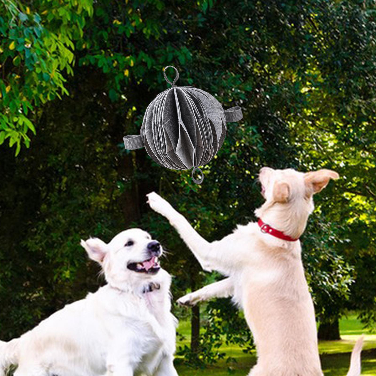 Dog Puzzle Toy Treat Dispensing Dog Toys Pet Sniff Ball for Training, Increase IQ