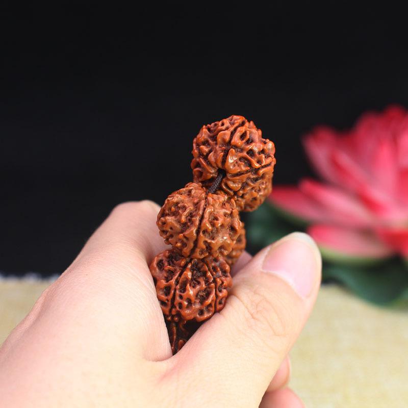 Natural 5-Lobed Rudraksha Bodhi Seed Prayer Beads Bracelet