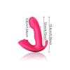 Women's Silicone Suction Penis Anal Plug Three-in-one Vibrator, G-spot Stimulation Masturbator, Adult Sexy Sex Toys, Sex Toys