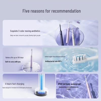 XiaoT302 Sonic Electric Toothbrush CN Plug (adapter Included)