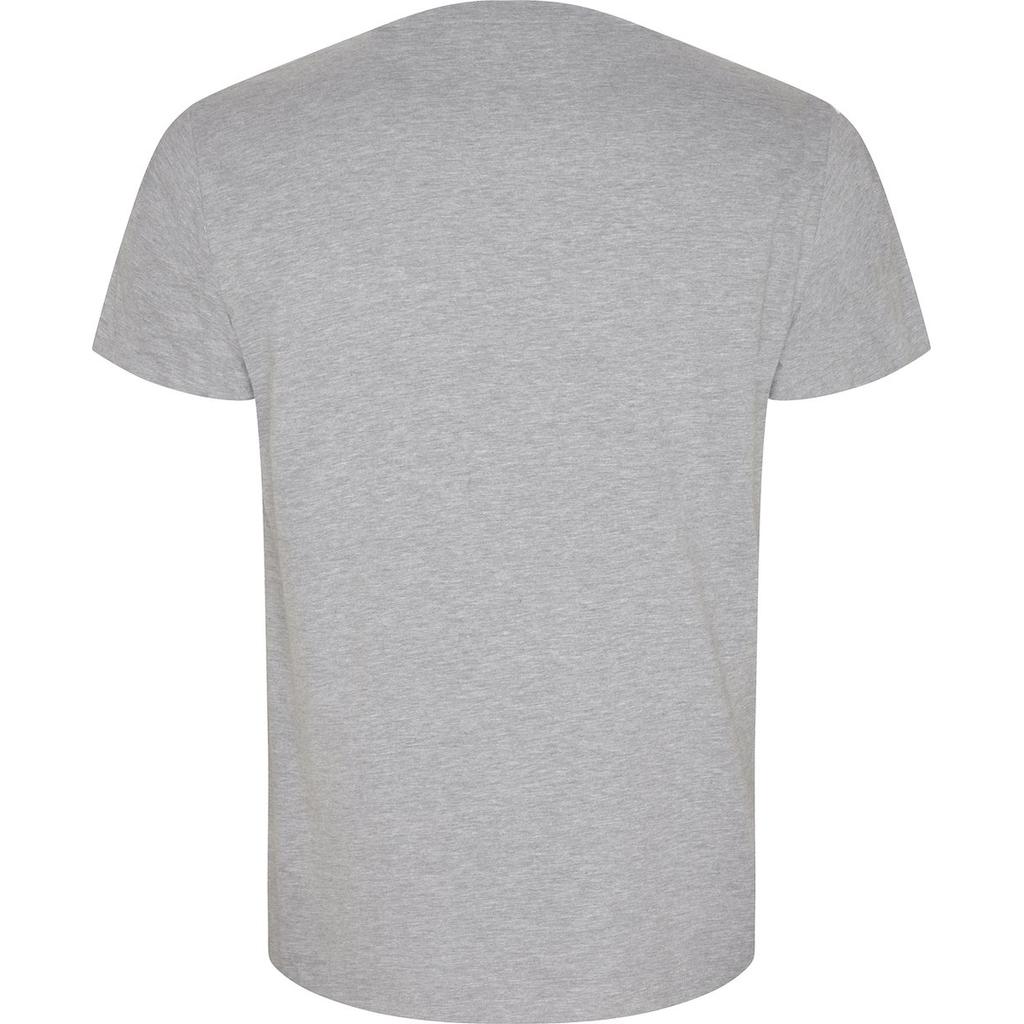 Roly Eco Mens Golden Heather Organic T-Shirt