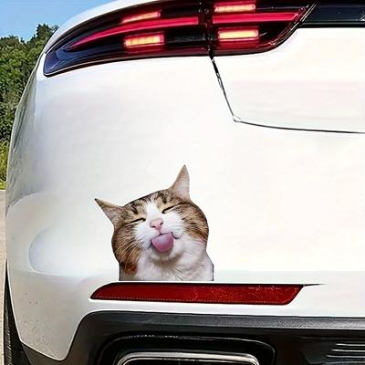 1pc Cute Tabby Cat Vinyl Sticker - Glossy Self-Adhesive Decal with  Kitten Design for Cars, Laptops, Luggage, Skateboards