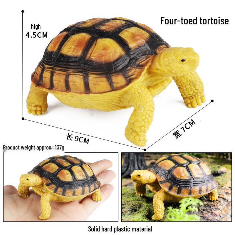 Cross-Border Children's Cognitive Amphibian & Reptile Tortoise Model Fish Tank Ornament Toy