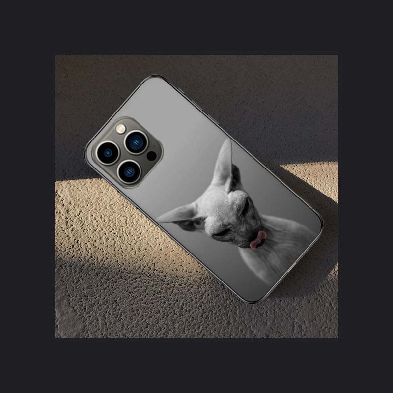 

Lavaza Sphynx Sphinx Cat Phone Case For Apple Iphone 16 15 Plus Soft 13 12 Mini Cover 11 14 Pro Max Capa X XS XR 8 7 Shell Coque iPhone 14 Plus