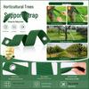 Tree Support & Reinforcement Nylon Straps - Anti-Typhoon & Anti-Falling Tie-Down for Small Trees