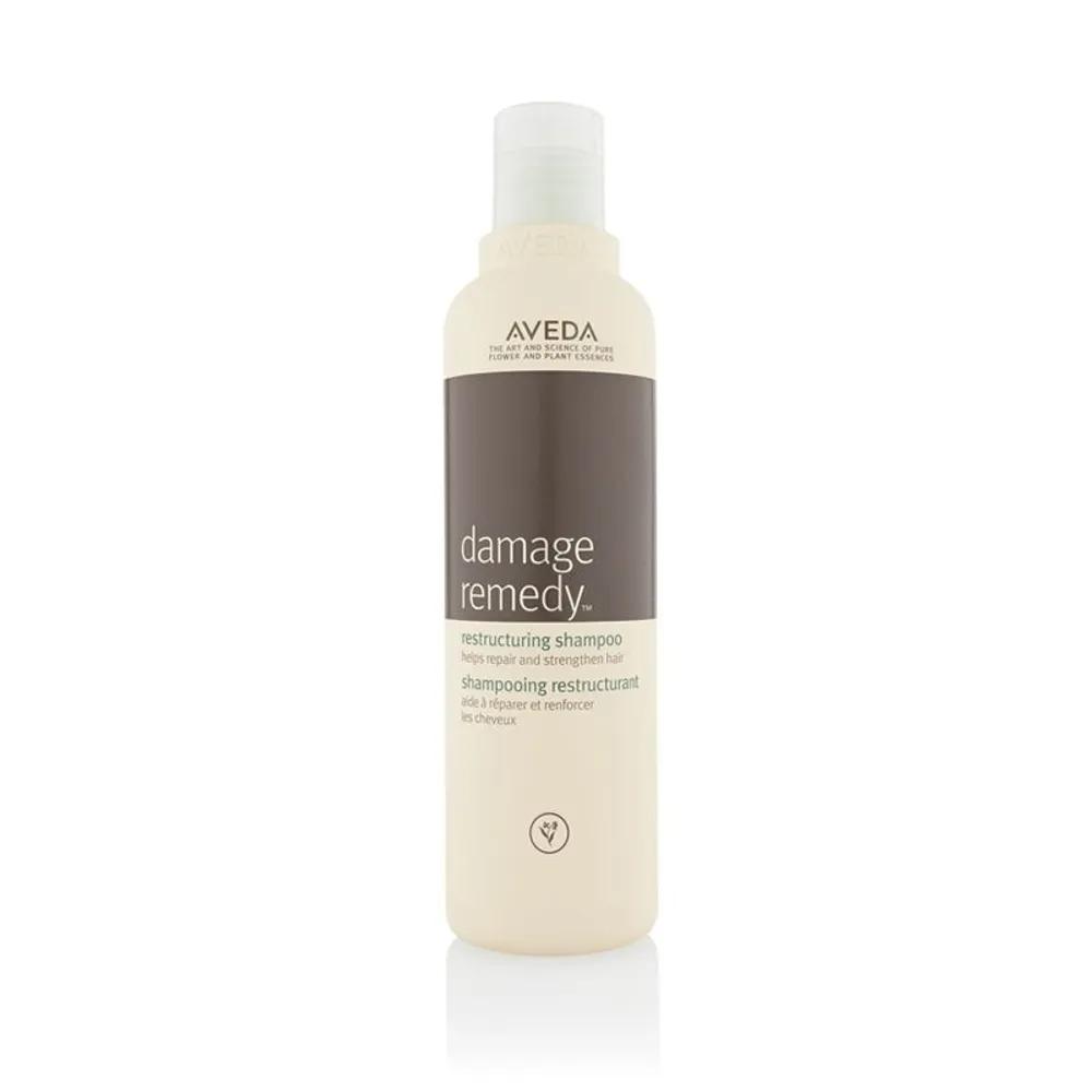 [Damaged Hair Care] Damage Remedy Shampoo 250ml