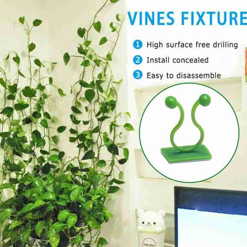 Rattan Plant Climbing Wall Clip Garden Vine Support Indoor Invisible Hook Useful Rattan Plant Climbing Wall Clip Garden Vine Support Indoor Invisible Hook Useful