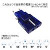 Kashimura International Conversion Plug World Compatible Sasuke Blue Power Plug BC BF B3 O SE O2 / / / / / / NTI-13