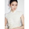 Mandy Zhang New Chinese Style Stand Collar Embroidered Lace Maxi Dress