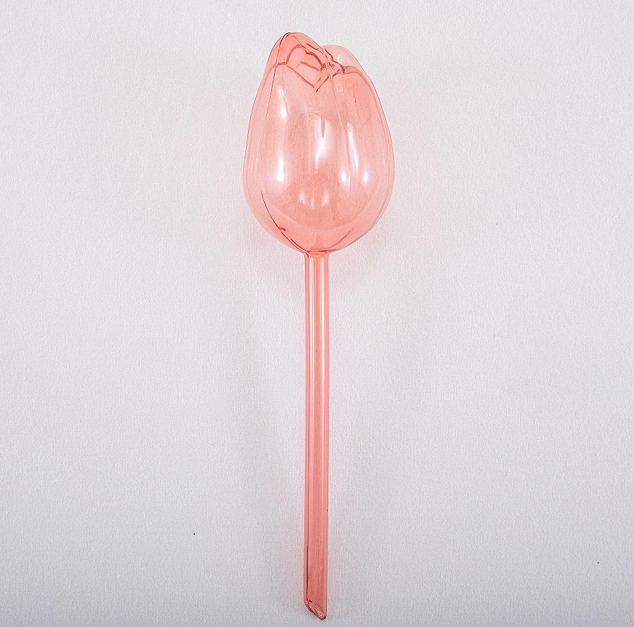 

3 цвета шары для полива растений тюльпанов Узкое отверстие для продолжительного капания Подходят для комнатных и садовых растений 1PCS шампанского