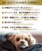 PREMISTY STD 250ml with Instructions for Use with Dogs and Dry Shampoo for Cleaner for Sensitive Skin Cats, Brushing, Anti-Drool, Leave-In,