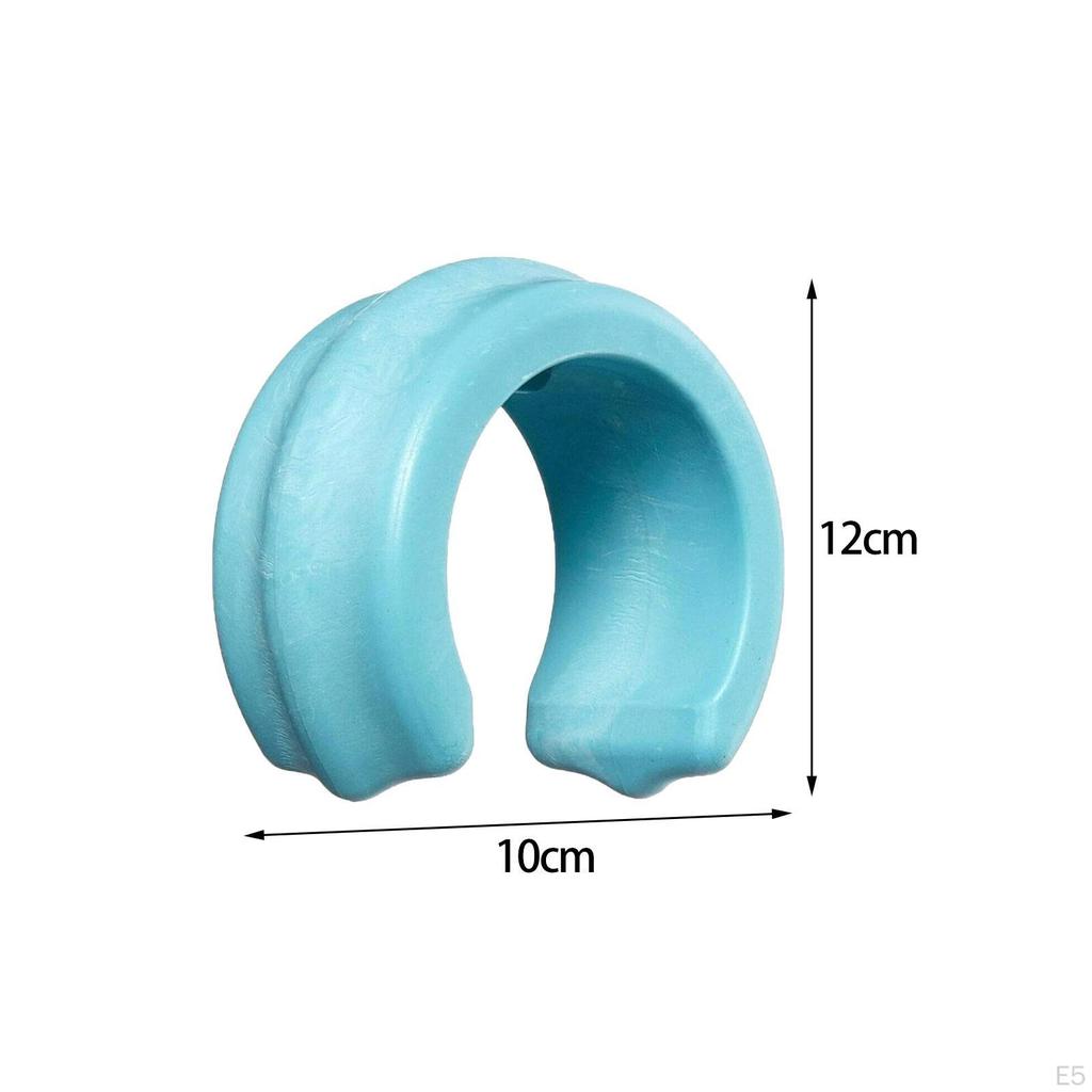 Zestaw 2 obciążników do węża basenowego W83247, Niezbędne akcesoria do czyszczenia