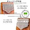 Everjoys Kalimba 17-Key Beginner Set Mahogany Tuned with Scale Markings Thumb Piano Japanese Sheet Music Beginner Guide All-in-One Kit for Children