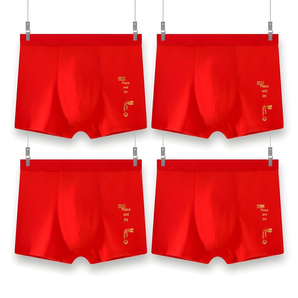 Plus Size Men's Year of the Rat Red Boxer Briefs
