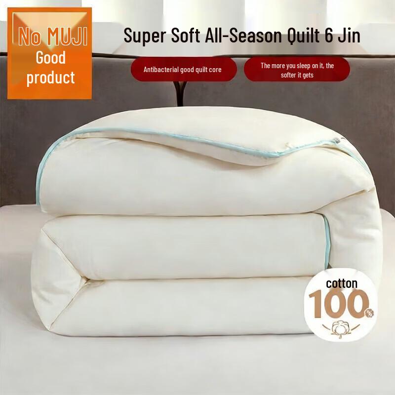 Muji Class A Four Seasons Skin-Friendly Quilt