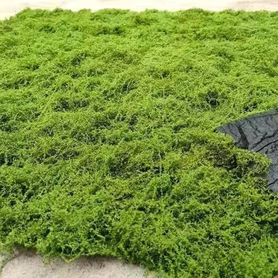 Artificial Jungle Moss Turf for Landscaping and Decor
