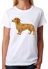 Floral Dachshund Dog Artwork Ladies T-Shirt Sausage Dog Women's Tee