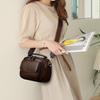 Large Capacity Crossbody Bags for Women Shoulder Bags Fashiable Purse and Handbags Trend Designer Bag  Bolsa Sac