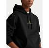 Толстовка Polo Ralph Lauren 710981781001