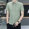 Pierre Cardin Men's Summer Wrinkle-Free Short Sleeve Business Casual Shirt