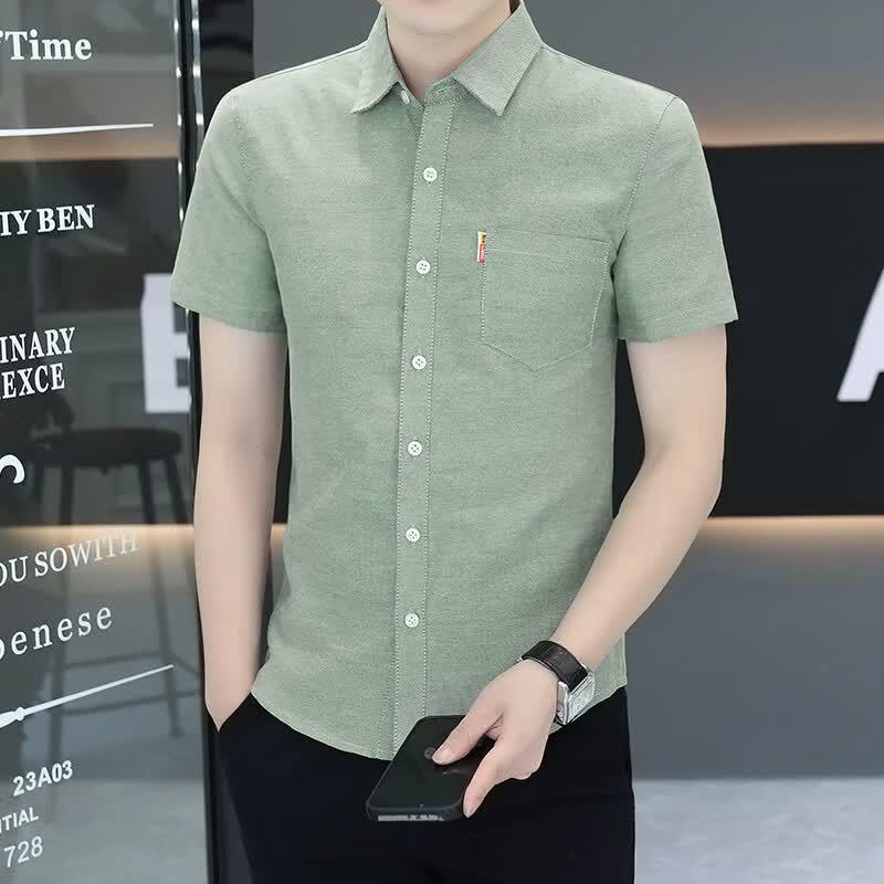 Pierre Cardin Men's Summer Wrinkle-Free Short Sleeve Business Casual Shirt