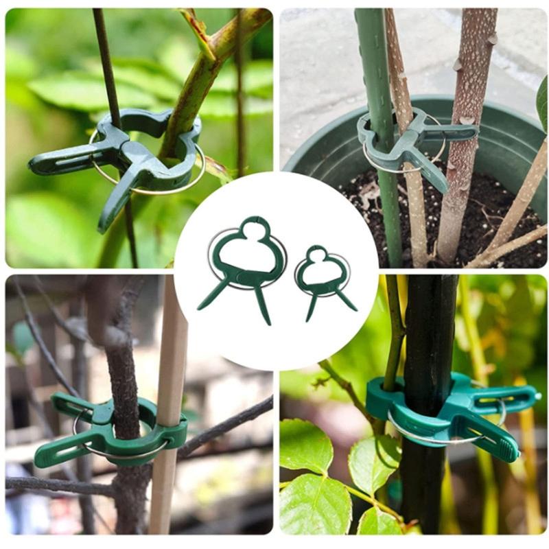 Plastic Plant Support Clips Plastic Clips Suitable for Securing Plant Tomato Vine Clips Plant Fixing Clips for Climbing