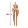 1/6 Scale Female Body 1:6 Nude Action Figure Ornament DIY Collectibles
