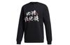 Sweatshirts Men's Black Crew Neck Moderate Regular GR3044