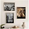 Cattle  Print On Canvas Wall Art Pictures Animal Painting for Living Room Home Decor Modern Abstract Scottish Highlander
