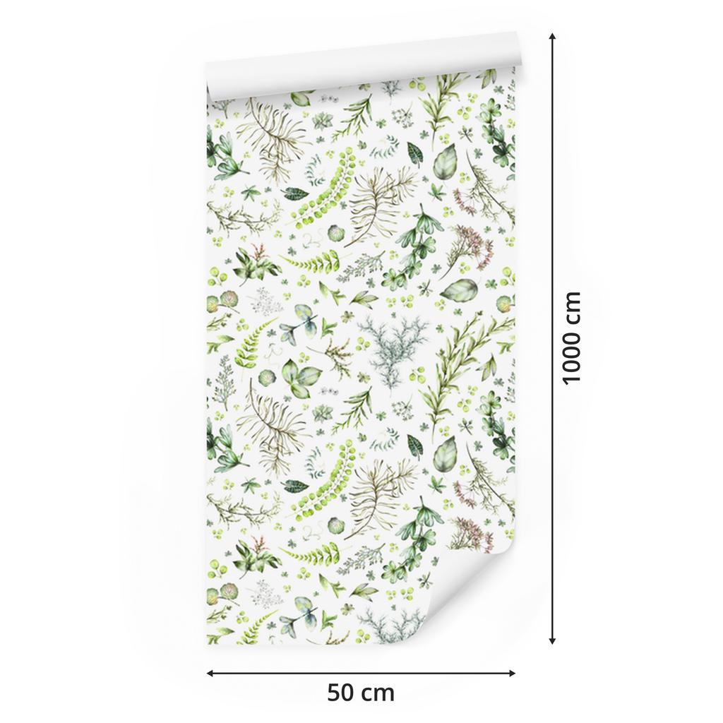 Wallpaper Leaves of different types for living room and bedroom 50x1000