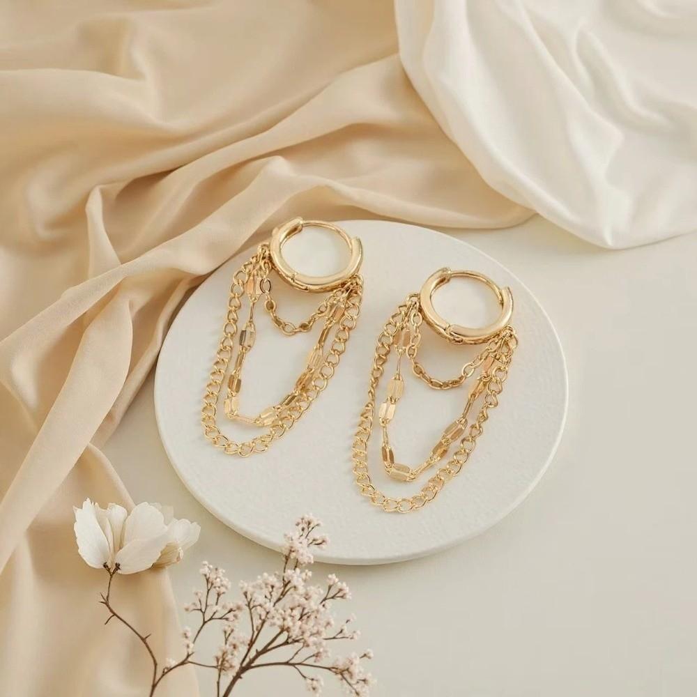 Hypoallergenic Chain Earrings Tassel Dangle Drop Earrings Fashion Hoop Earrings  Daily Wear