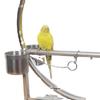 Stainless Steel Bird Stand with Ankle Chain for Large Parrots and Cockatiels