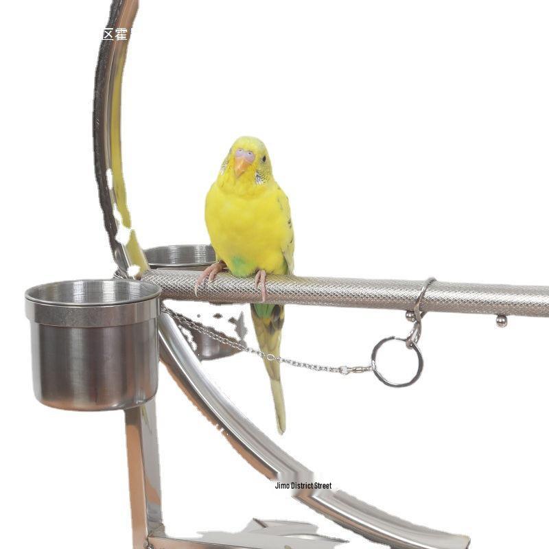 Stainless Steel Bird Stand with Ankle Chain for Large Parrots and Cockatiels