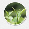 Top Grade 2010 Shou Mei White Tea Cake 350g Fuding Aged Tea Wellness Benefits